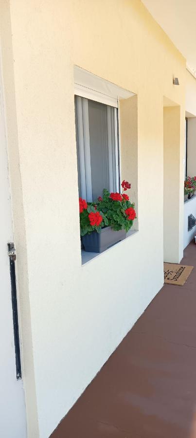 شقة David Apartman شيوفوك المظهر الخارجي الصورة